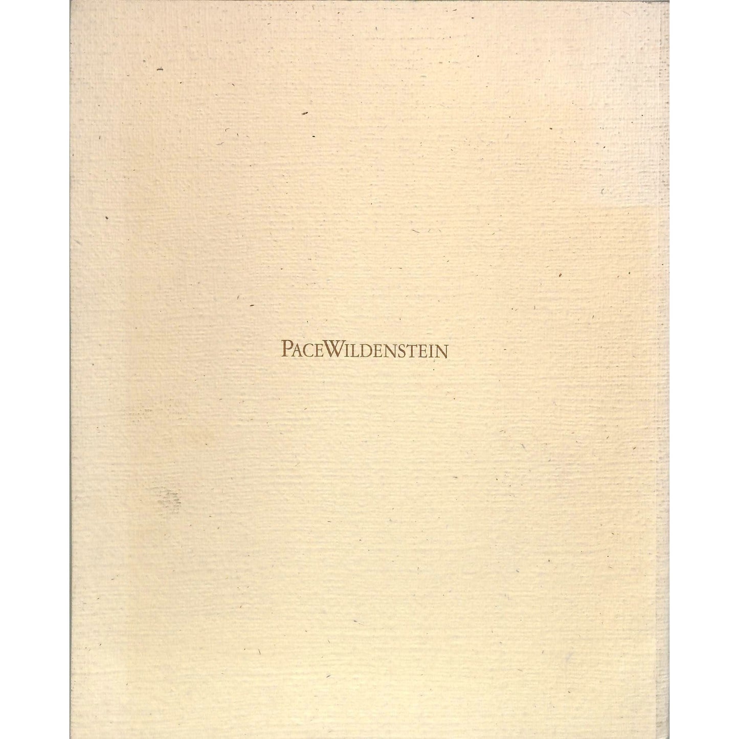 Julian Schnabel Plate Paintings 1978-1997 Art Catalog April 22- June 5, 1999