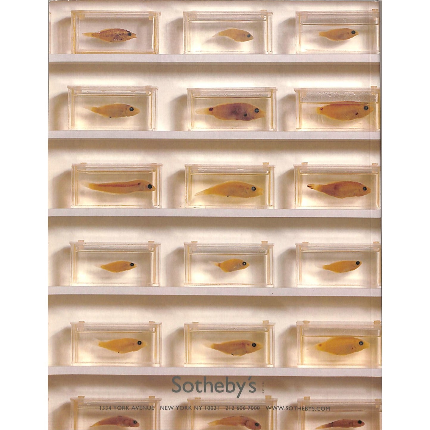 Sotheby's Contemporary Art Auction Catalog May 14, 2003