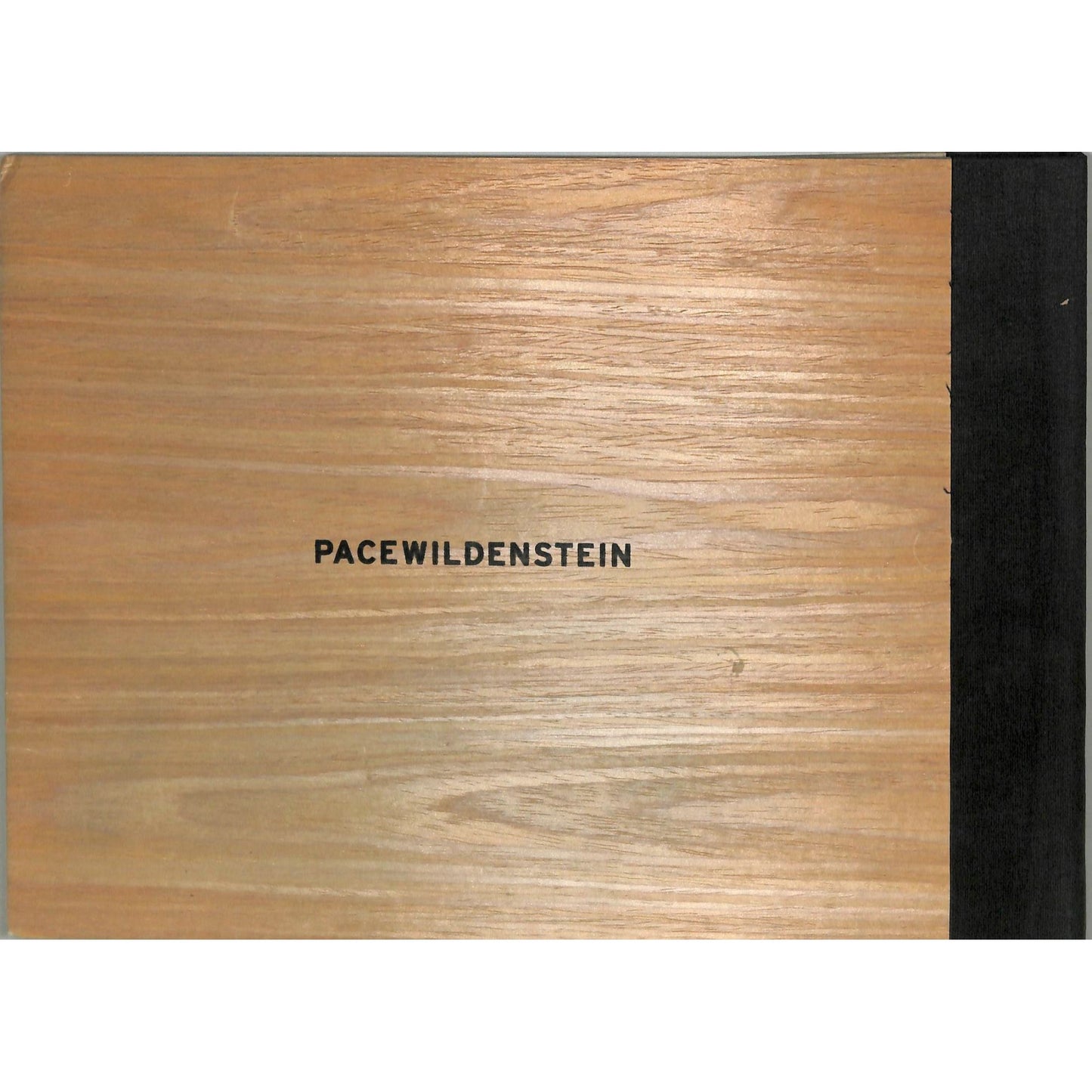 Zang Huan Pace Wildenstein Art Catalog 2008