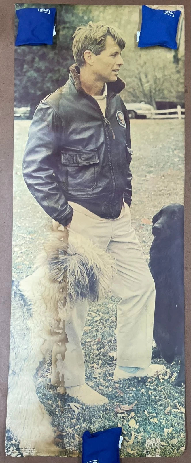 Robert F. Kennedy Portrait Poster with Dogs 24x63