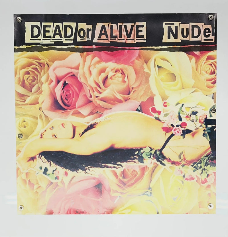 Dead or Alive Nude 1988 Promotional Poster 23x33