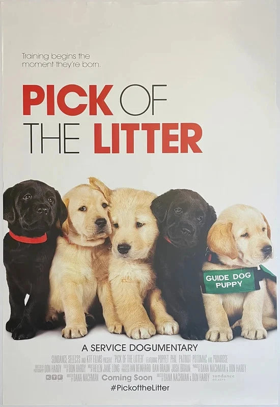 Pick of the Litter 2018 Original Movie Poster 27x40 SS Guide Dog Documentary