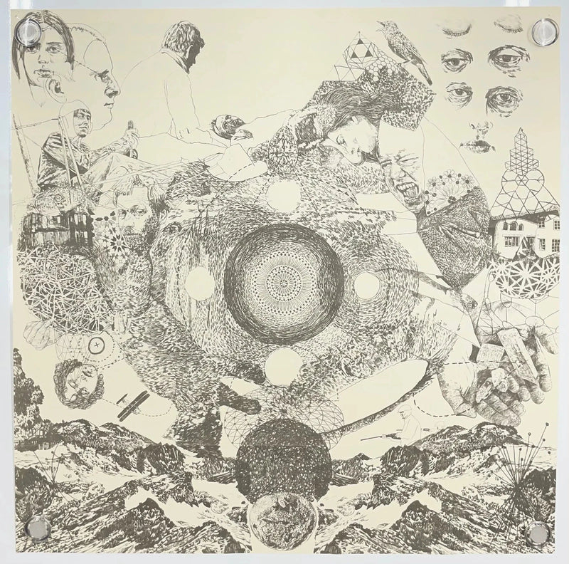 Fleet Foxes Helplessness Blues 2011 Vinyl Insert Poster Indie Folk Art