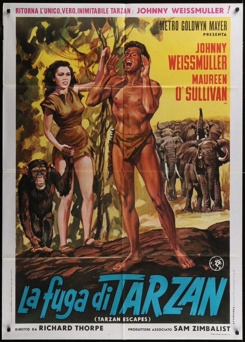 Tarzan Escapes (1936) Original Italian Movie Poster Folded 39x55