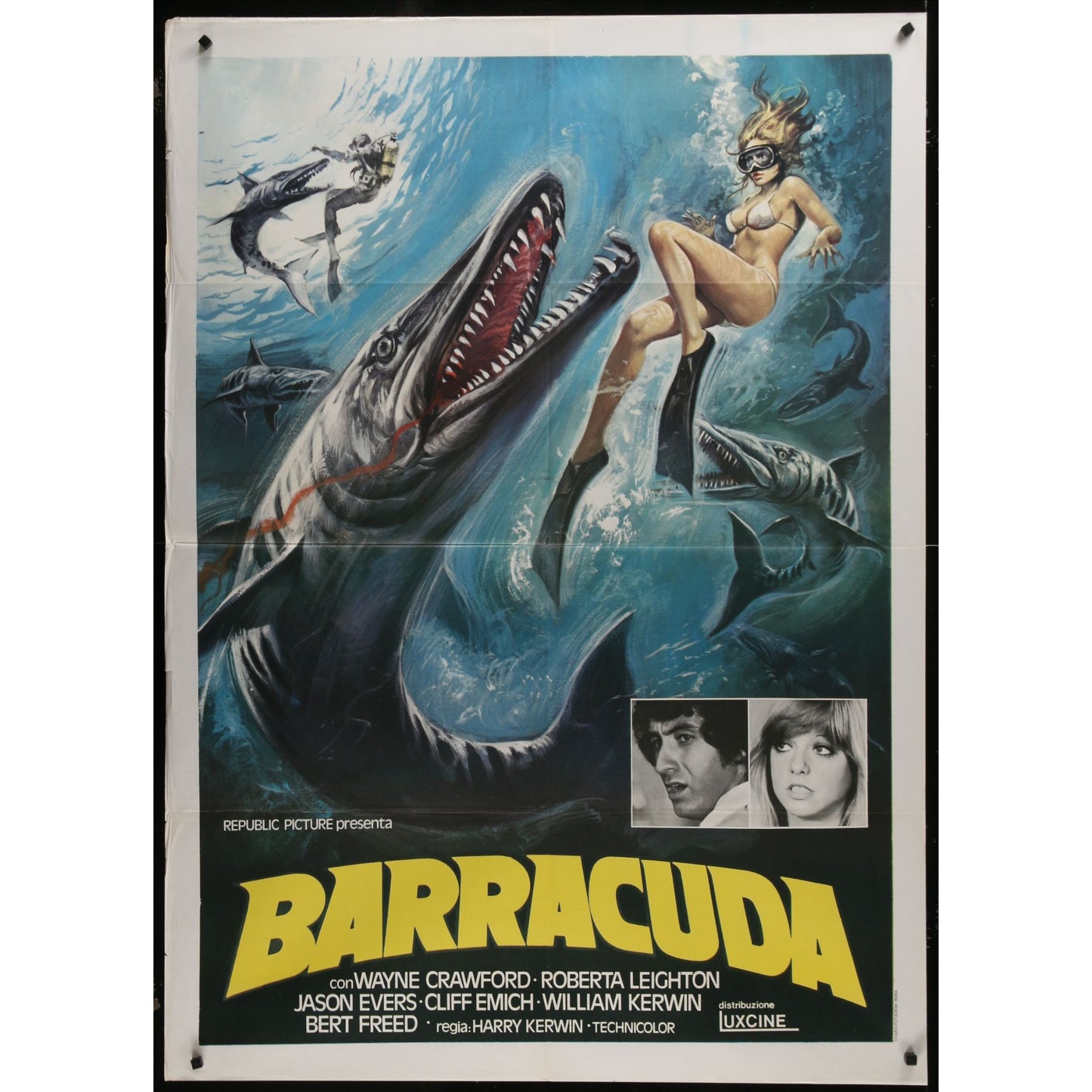 Barracuda (1978) Original Italian 1P Movie Poster Folded 39x55