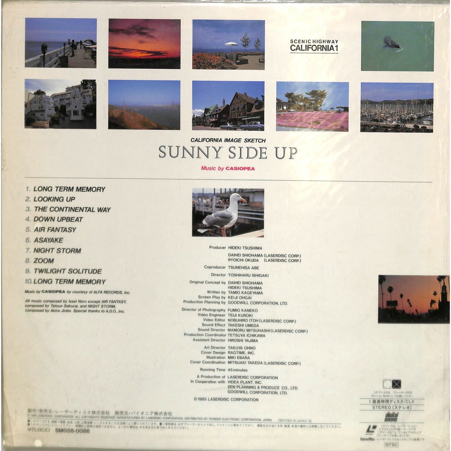 Sunny Side Up (1985) Japanese Release Laserdisc