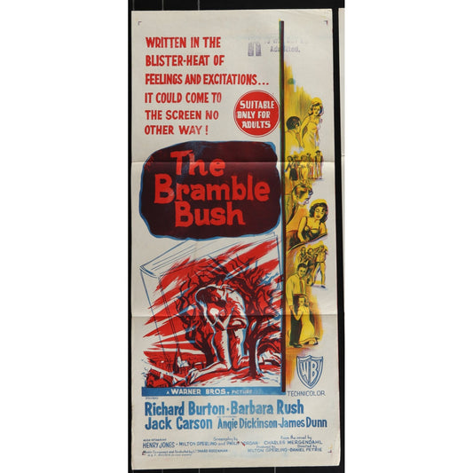 The Bramble Bush (1960) Original Australian Daybill Movie Poster Folded 13x30