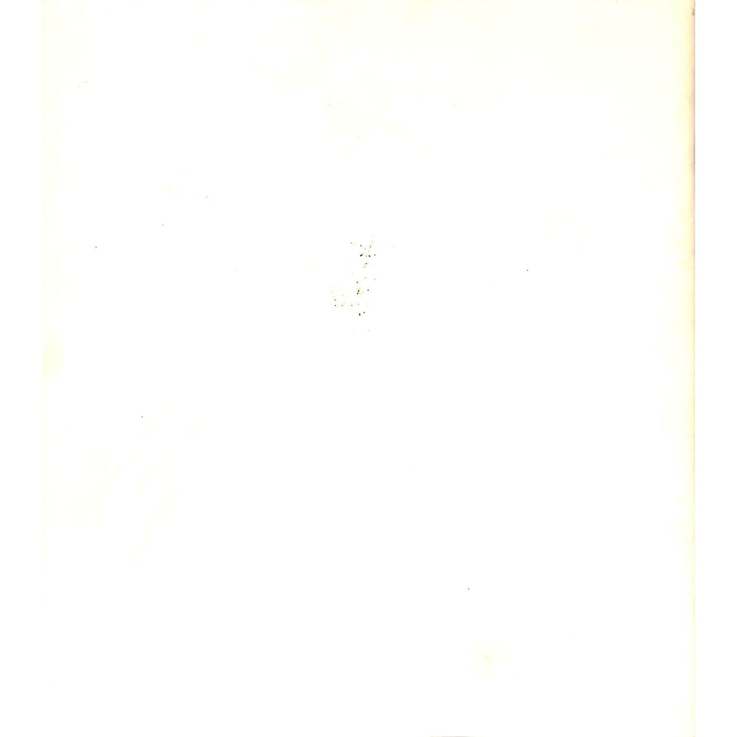 Burt Hasen Exhibition Catalog, Anita Shapolsky Gallery