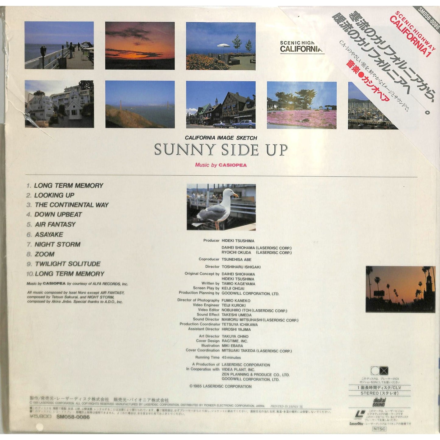 Sunny Side Up (1985) Japanese Release Laserdisc