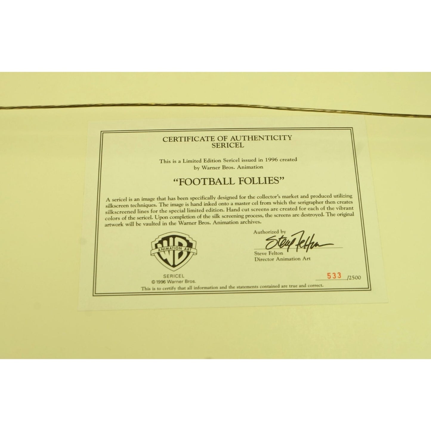 Football Follies Limited Edition Sericel Animation Cel 1996 Framed 24"x18" w/COA